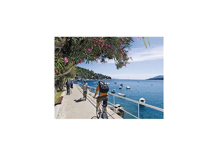 12 * Rabac