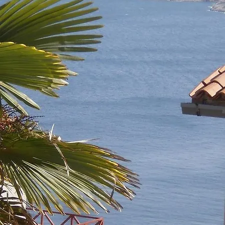 12 * Rabac