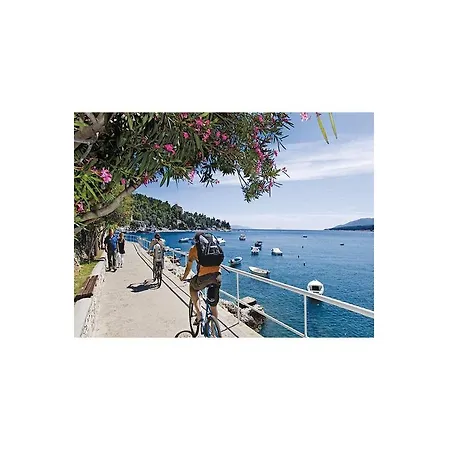 12 * Rabac